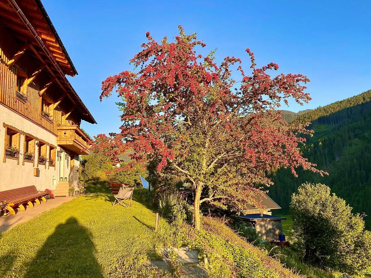 Alm Seasons Premium Chalet & Studios Saalbach-Hinterglemm
