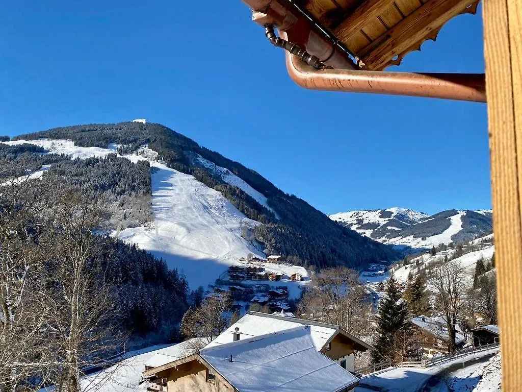 Privatunterkunft Alm Seasons Premium Chalet & Studios Saalbach-Hinterglemm
